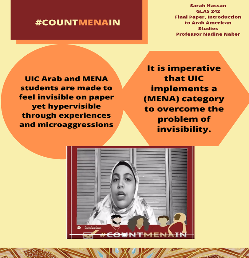 It is imperative that UIC implements a (MENA) category to overcome the problem of invisibility.