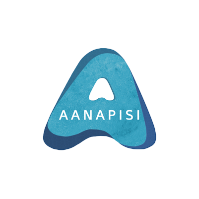 Asian American and Native American Pacific Islander Serving Institution Graphic with a twisting A image and the acronym AANAPISI